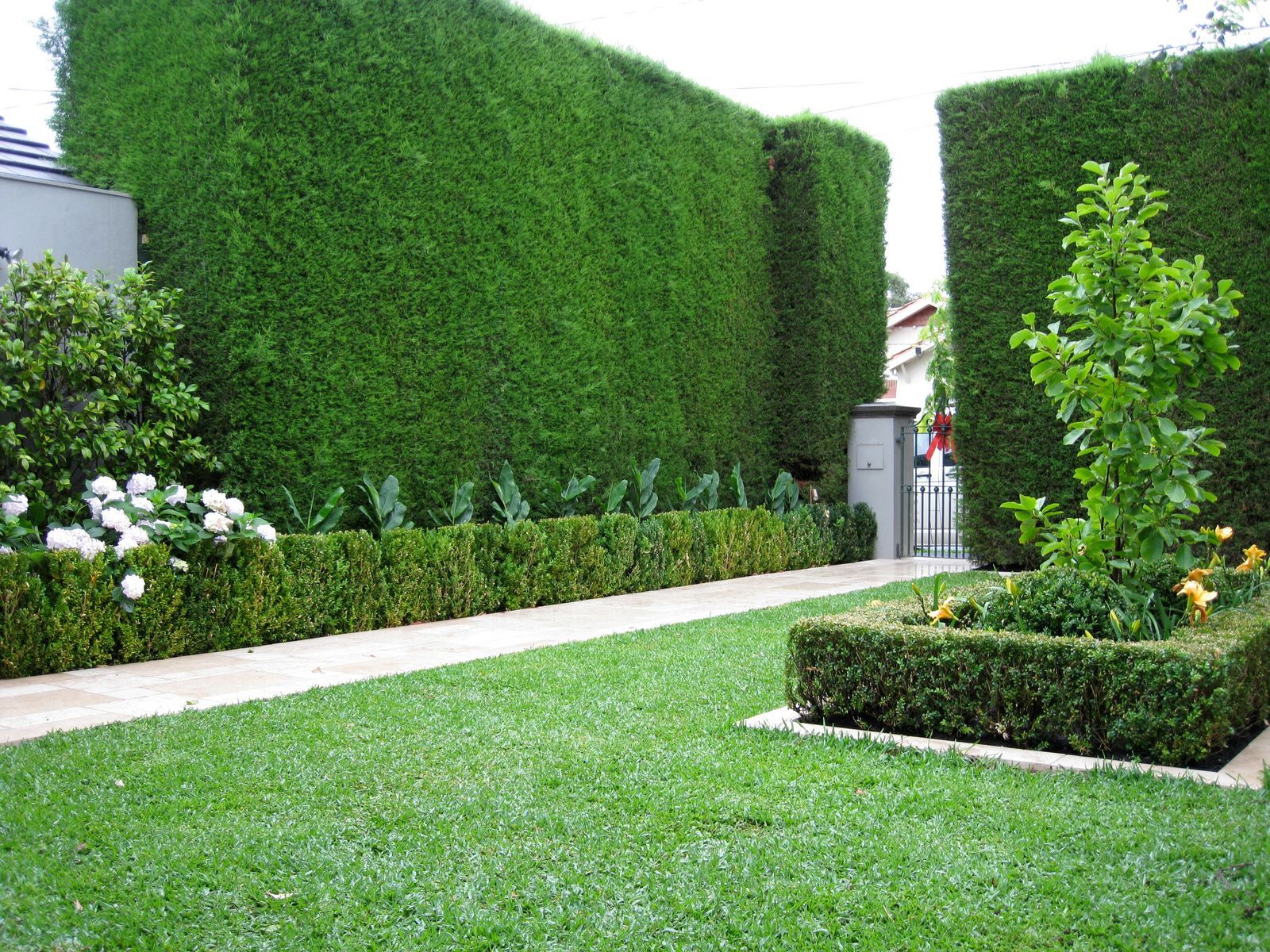 A lush garden path leading to a timber bench