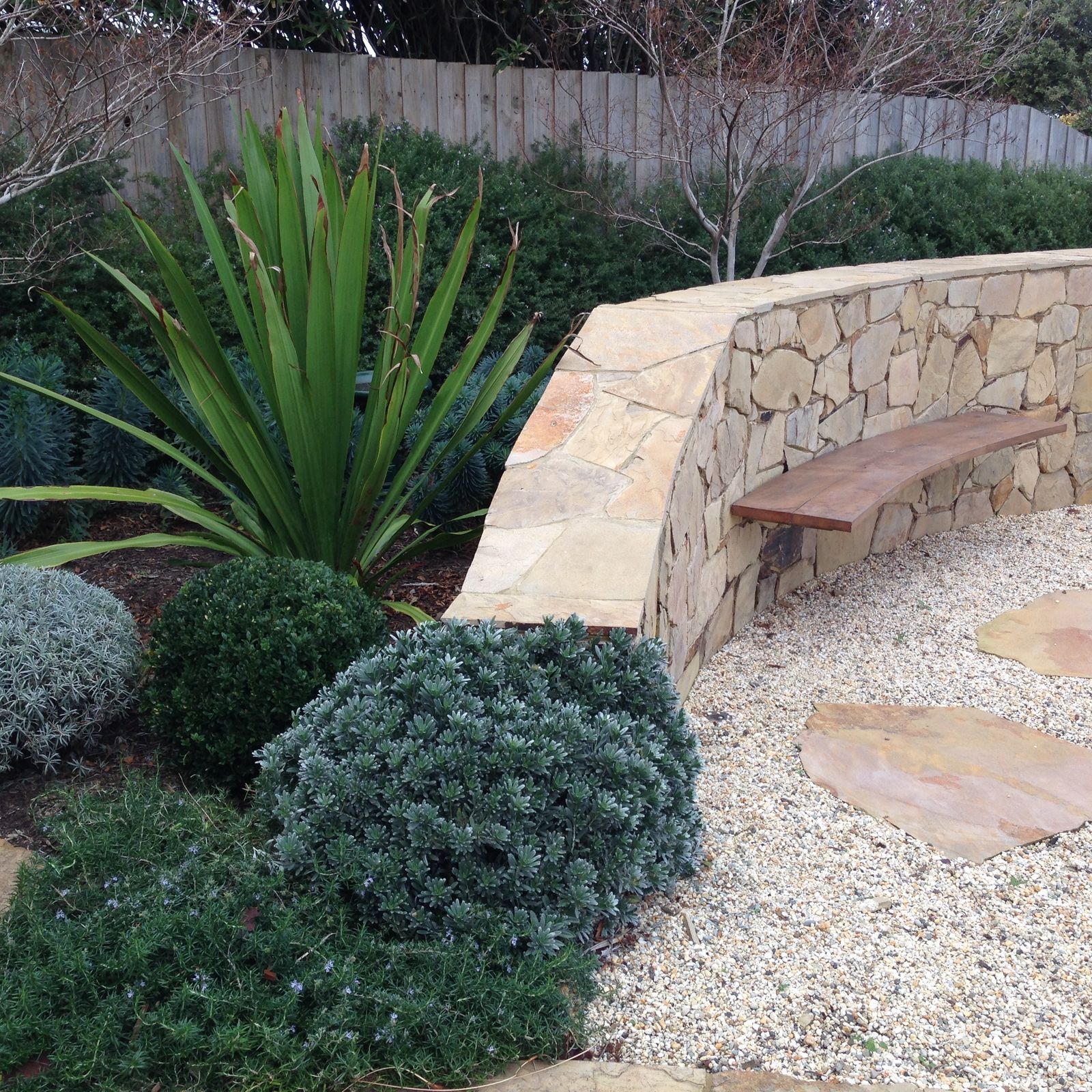 Courtyard with layered evergreen planting