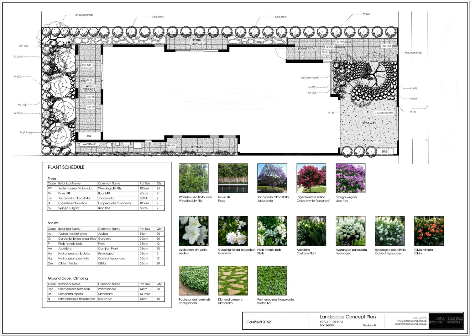 Landscape concept plan for a Caulfield garden, with plant schedule and photographic planting palette