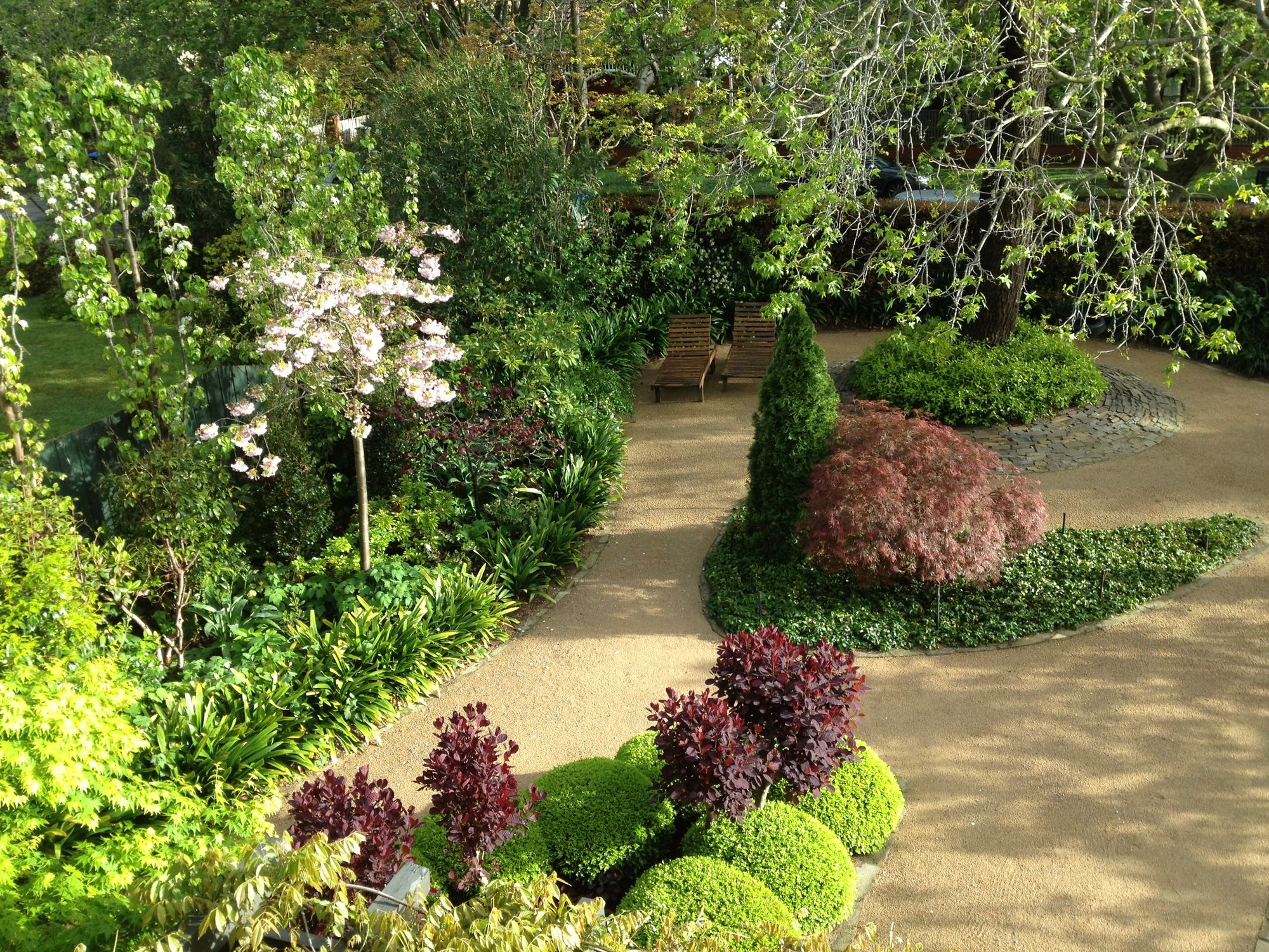 Malvern garden — winding gravel paths through layered borders of box, maple and cherry blossom